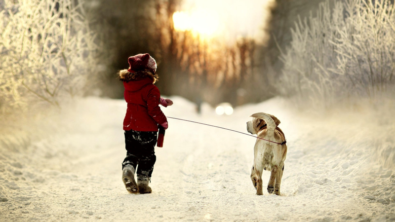 Child walking a dog in the snow